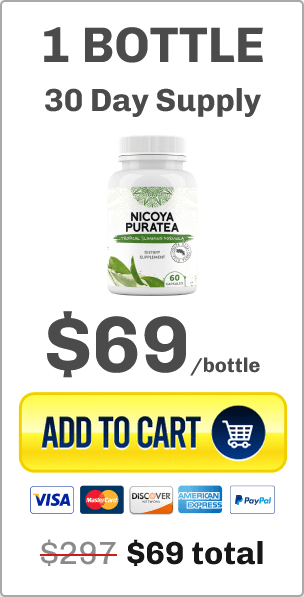 Nicoya PuraTea 1 Bottle
