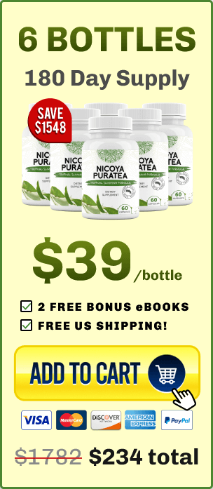 Nicoya PuraTea 6 bootle